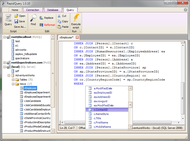 Rapid Query screenshot